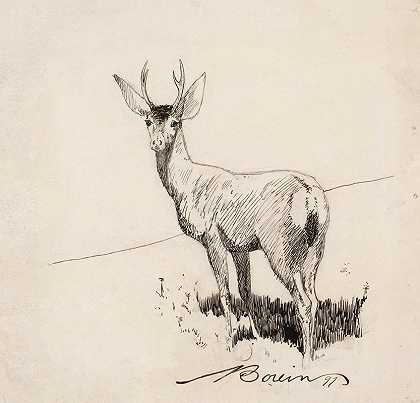 爱德华·博林的《站立的雄鹿》