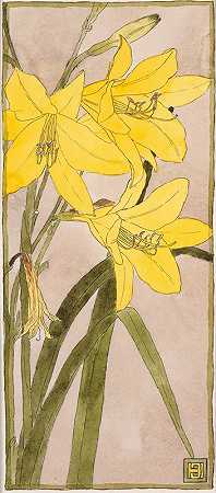 汉娜·博格·奥弗贝克的《黄色黄花菜》