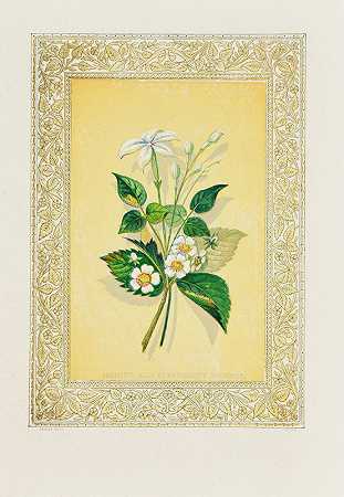 约翰·亨利·英格拉姆的《茉莉花和草莓花》