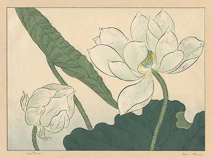 Sakai Hōitsu的《莲花》