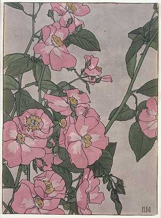 汉娜·博格·奥弗贝克的《草原玫瑰》