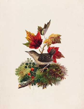 Louis Prang的《秋叶鸟》