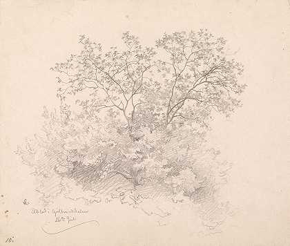 汉斯·古德（Hans Gude）的《叶树，古德布兰斯达伦的埃尔斯塔德》