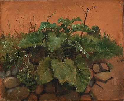 约翰·托马斯·伦德拜的《石墙上的牛蒡和其他植物》