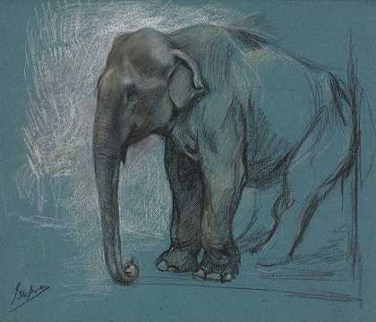 约翰·麦卡伦·斯旺的《大象研究》