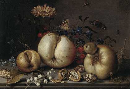 巴尔塔萨尔·范德阿斯特的《水果与贝壳的静物》