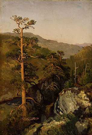 August Cappelen的《带松树的岩石风景》