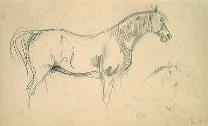 欧仁·德拉克罗瓦的《马的侧面研究》