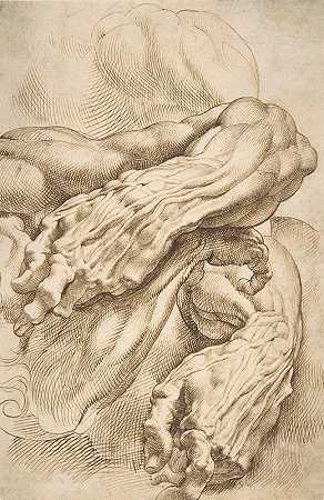 彼得·保罗·鲁本斯（Peter Paul Rubens）的《解剖学研究：两种姿势的左前臂和右前臂》