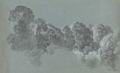 海因里希·里特《被光击中的森林树梢》