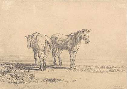 约翰·塞尔·科特曼的《两匹老马站在田里》