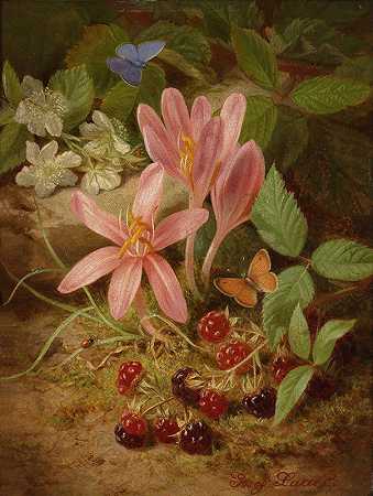 约瑟夫·劳尔的《秋天的花与黑莓》