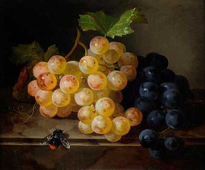 安德烈亚斯·拉赫的《与胡梅尔的葡萄静物》