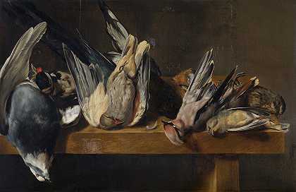 埃利亚斯·冯克的《死鸟》