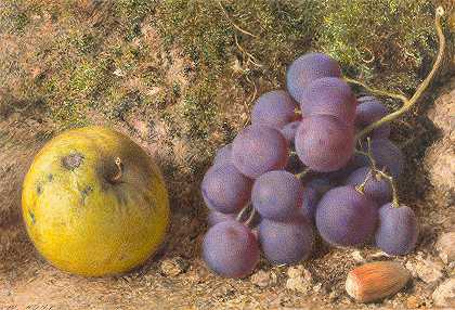 威廉·亨利·亨特（William Henry Hunt）的《苹果、葡萄和椰子》