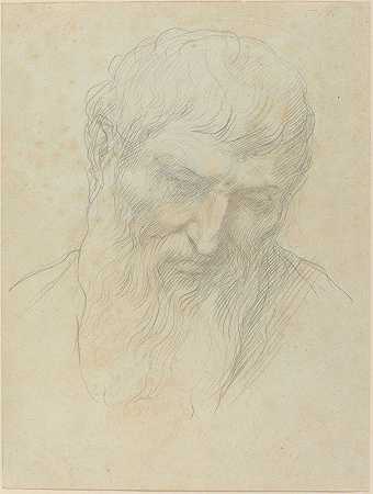 阿尔方斯·勒格罗斯的《卷发胡子男人的头像》