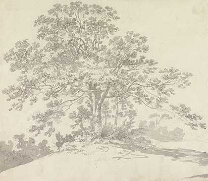乔治·豪兰·博蒙特的《树》