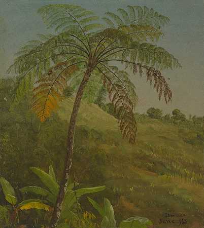弗雷德里克·埃德温·丘奇的《牙买加棕榈树》