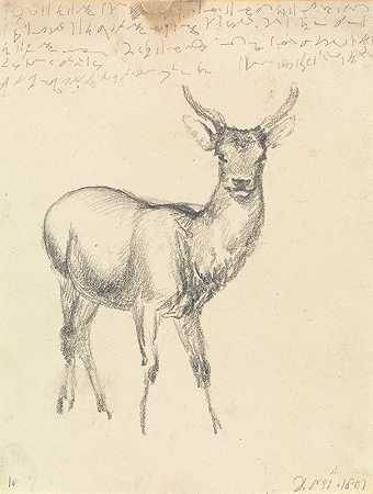 罗伯特·希尔斯的《小鹿》