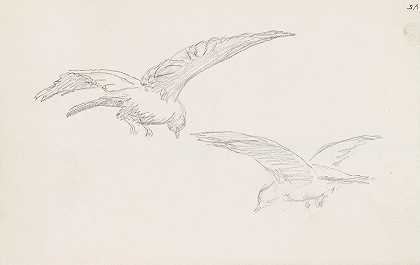 汉斯·古德的《两只鸟》