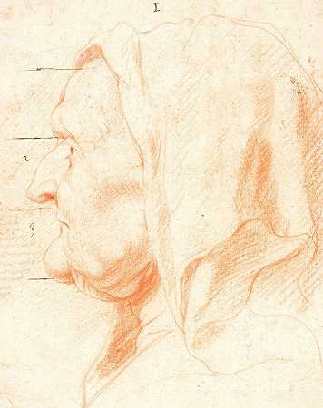 雅各布·乔丹斯（Jacob Jordaens）的《一个老妇人的头，左侧面》