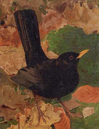 “黑鸟，作者：利奥·保罗·罗伯特