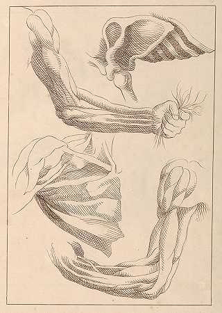 哈姆雷特·温斯坦利《手臂和肩膀的解剖学研究》