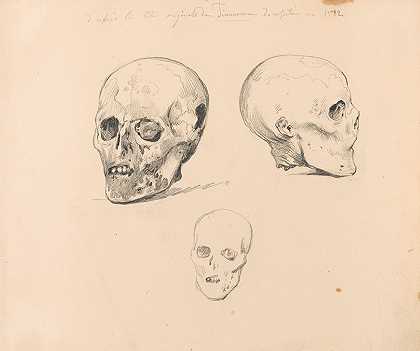 尼凯斯·德·凯瑟对敦刻尔克雅各布·安东尼奥·蒂默曼头骨的三项研究