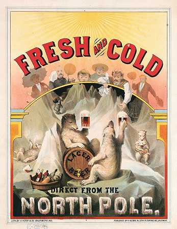 A.HoenCo.直接从北极进口的新鲜和冷拉格啤酒。