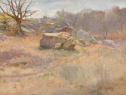 哈里·米尔斯·沃尔科特的《岩石风景》