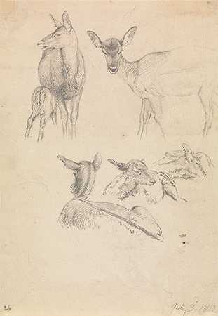 罗伯特·希尔斯的《鹿和它们的幼崽》