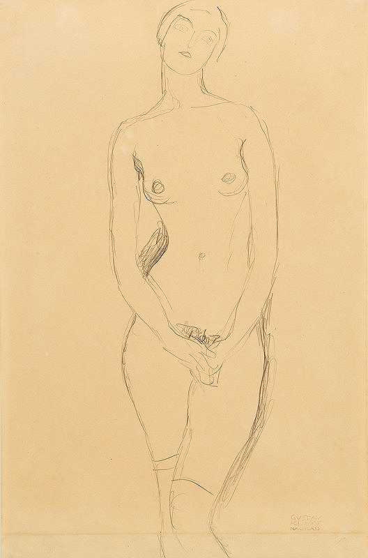 古斯塔夫·克里姆特从正面看到的裸体站立女性