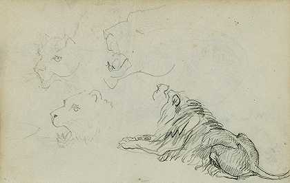 Théodore Géricault的四头狮子研究