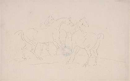 塞缪尔·丹尼尔的《三匹马》