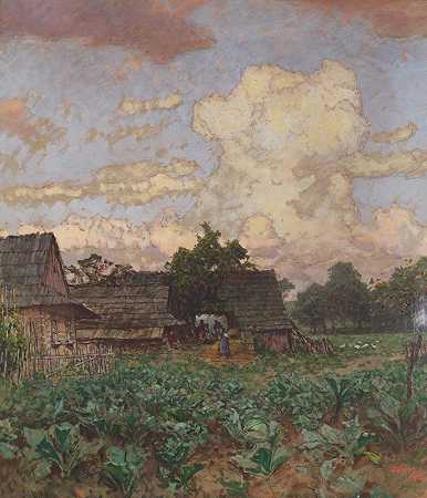《西里西亚的农场》作者：Jindřich Tomec