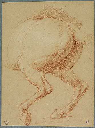 查尔斯·勒布伦的《马的后腿》