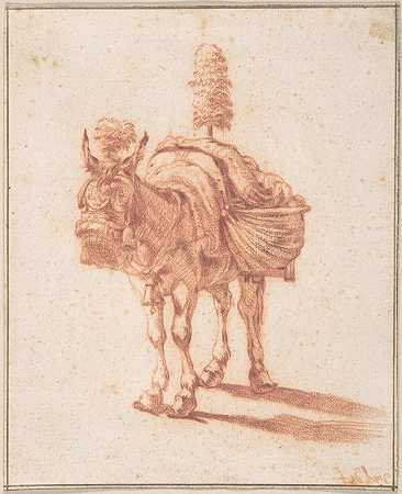 阿德里安·范·德·维尔德的《一头驴》