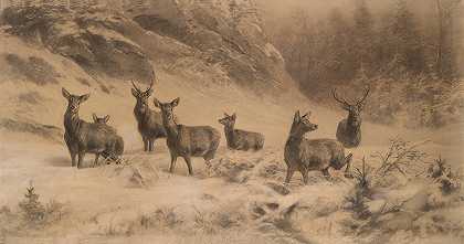 弗兰兹·泽弗·冯·鲍辛格的《冬天的马鹿》