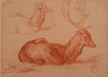 雅克·雷蒙德·布拉卡萨特的《躺着的鹿和鹿的研究》