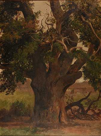 “老橡树（研究）雅克·雷蒙德·布拉卡萨特