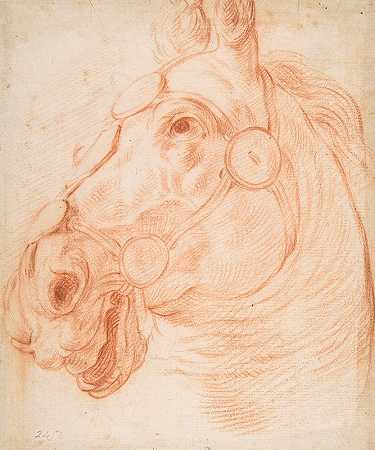 Baldassarre Franceschini的《马头研究》