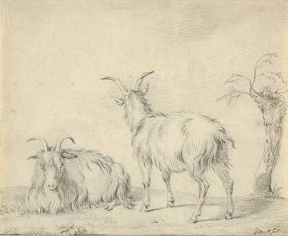 《一只站着的山羊和一只躺在小树旁的山羊》