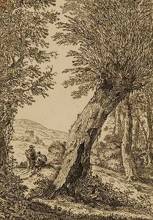 威廉·冯·贝梅尔的《柳树风景》
