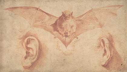 《两只耳朵和蝙蝠的研究》，Jusepe de Ribera著
