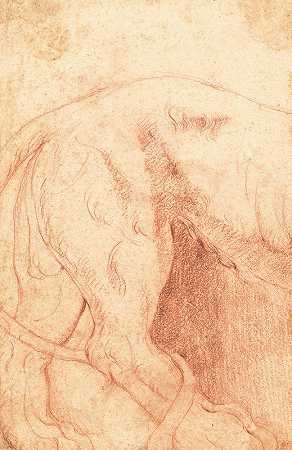 乔瓦尼·巴蒂斯塔·皮拉内西的《狮子低音浮雕片段》