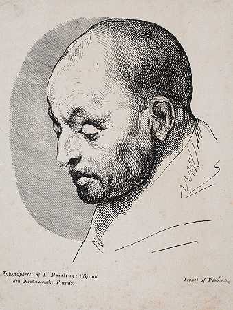 彼得·卢德维格·梅斯林的《秃头男人的头像》