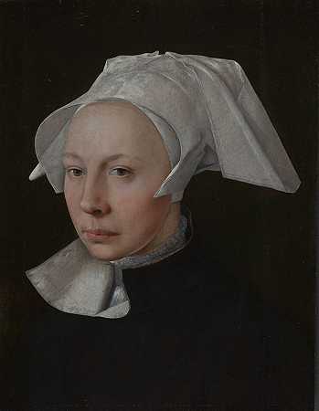 扬·范·斯科尔的《女人的肖像》