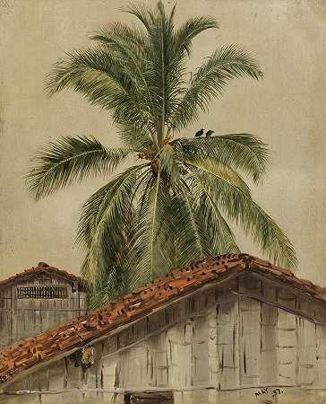 弗雷德里克·埃德温·丘奇的《厄瓜多尔棕榈树和屋顶》