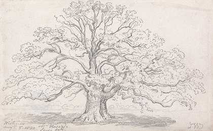 “霍华德先生的大橡树，1820年8月5日，詹姆斯·沃德