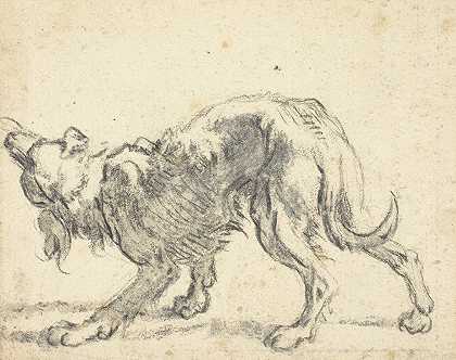 科内利斯·萨夫特莱文的《一只狗》